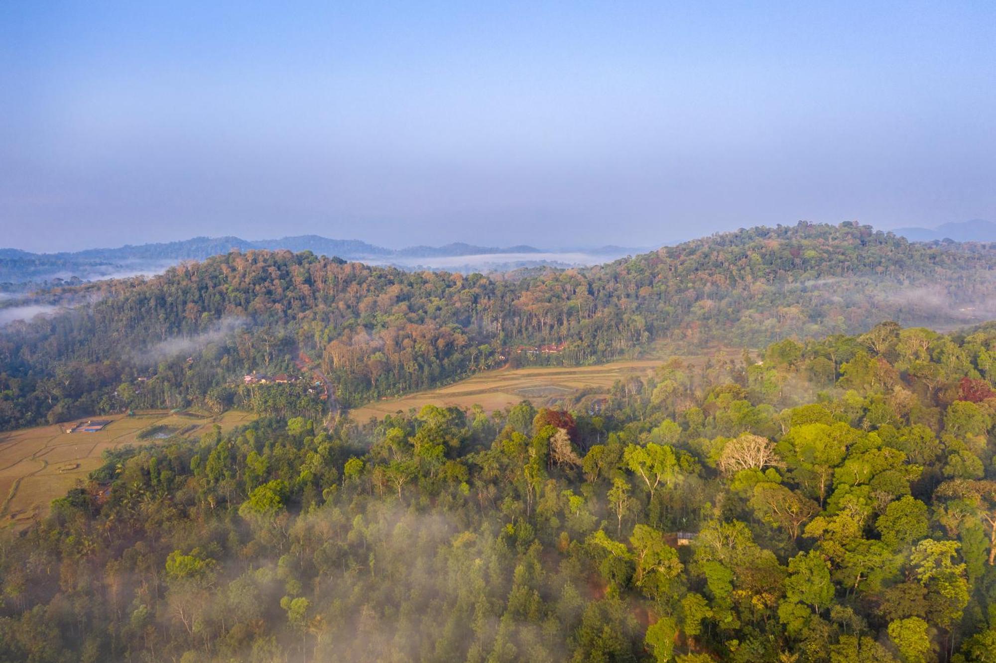 Ama Stays & Trails, Rare Earth Estate Madikeri Bagian luar foto
