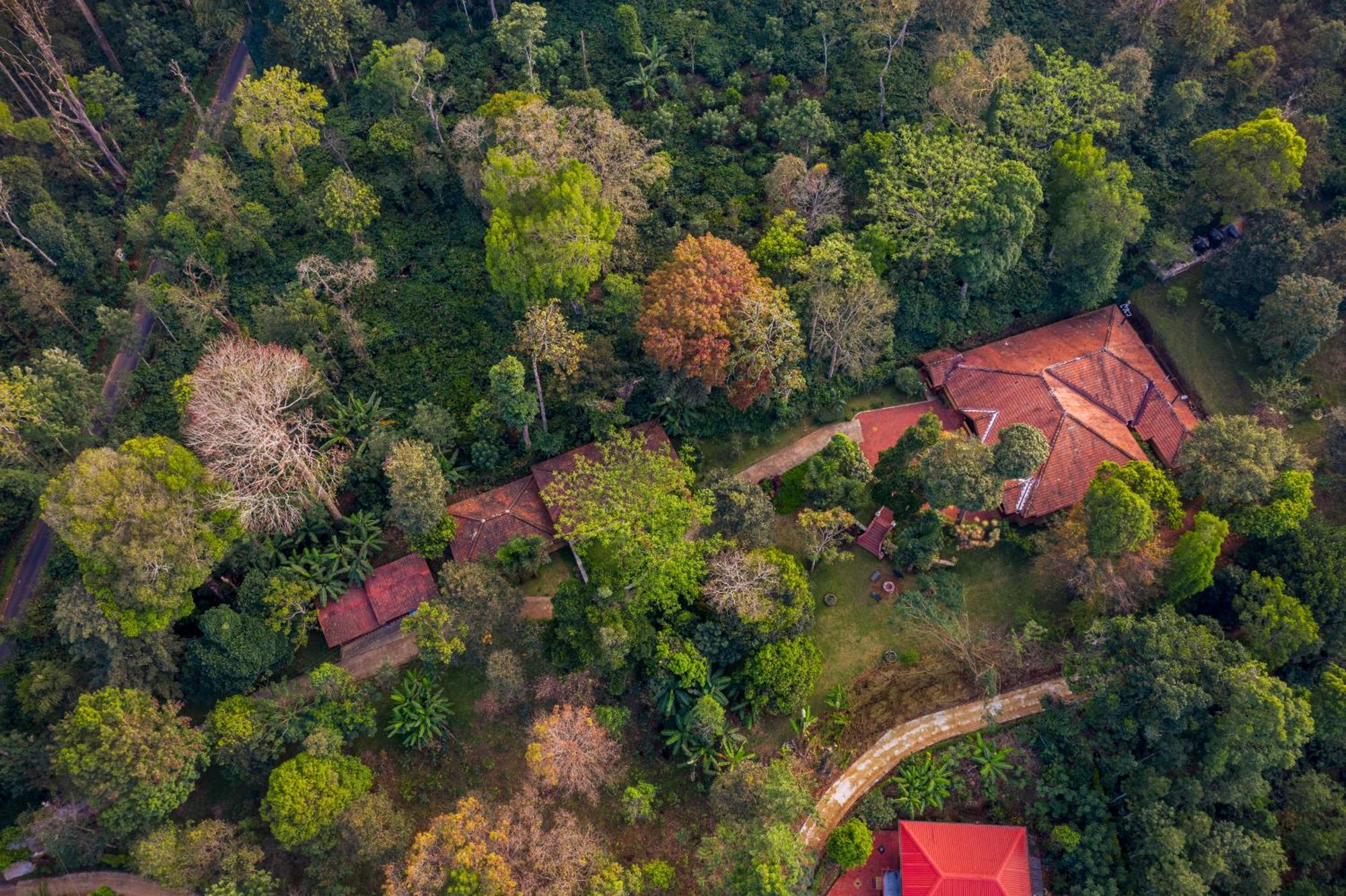 Ama Stays & Trails, Rare Earth Estate Madikeri Bagian luar foto