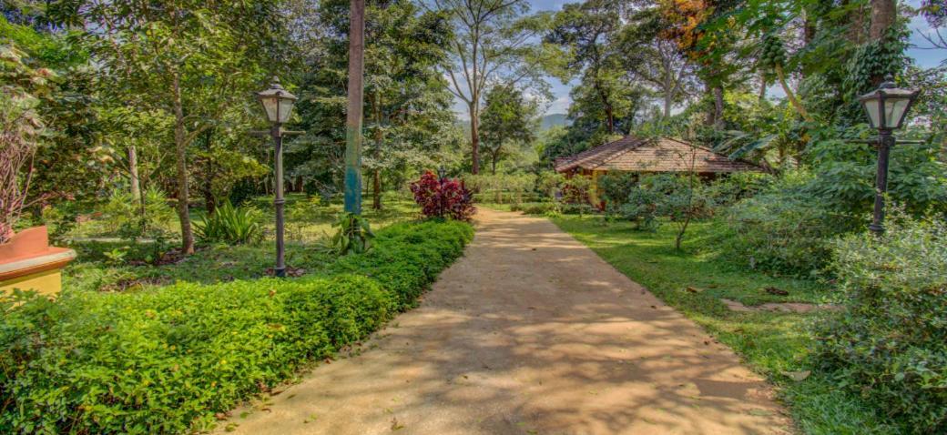 Ama Stays & Trails, Rare Earth Estate Madikeri Bagian luar foto
